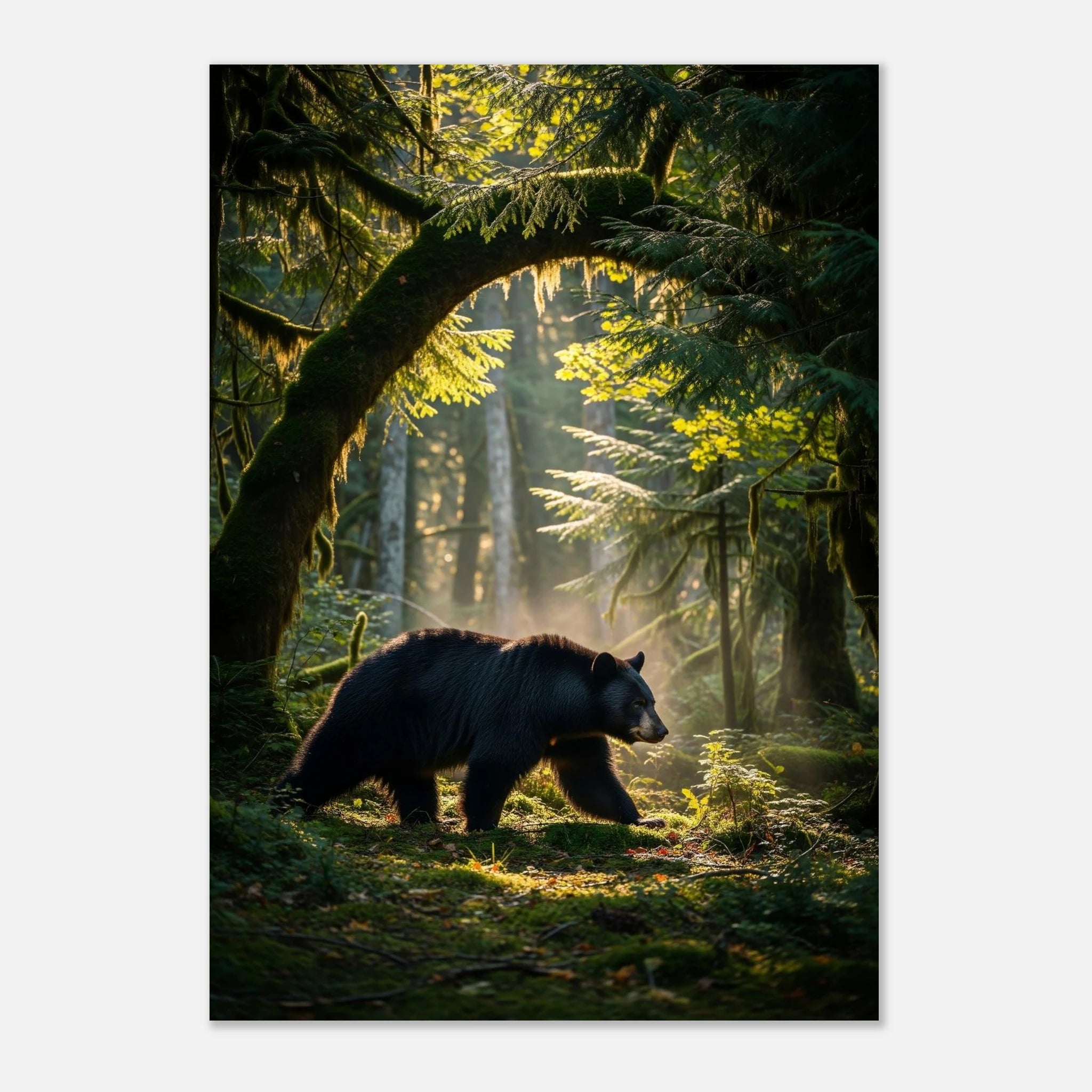 1977fcf1-89d0-4123-8369-5b21a5cbf363