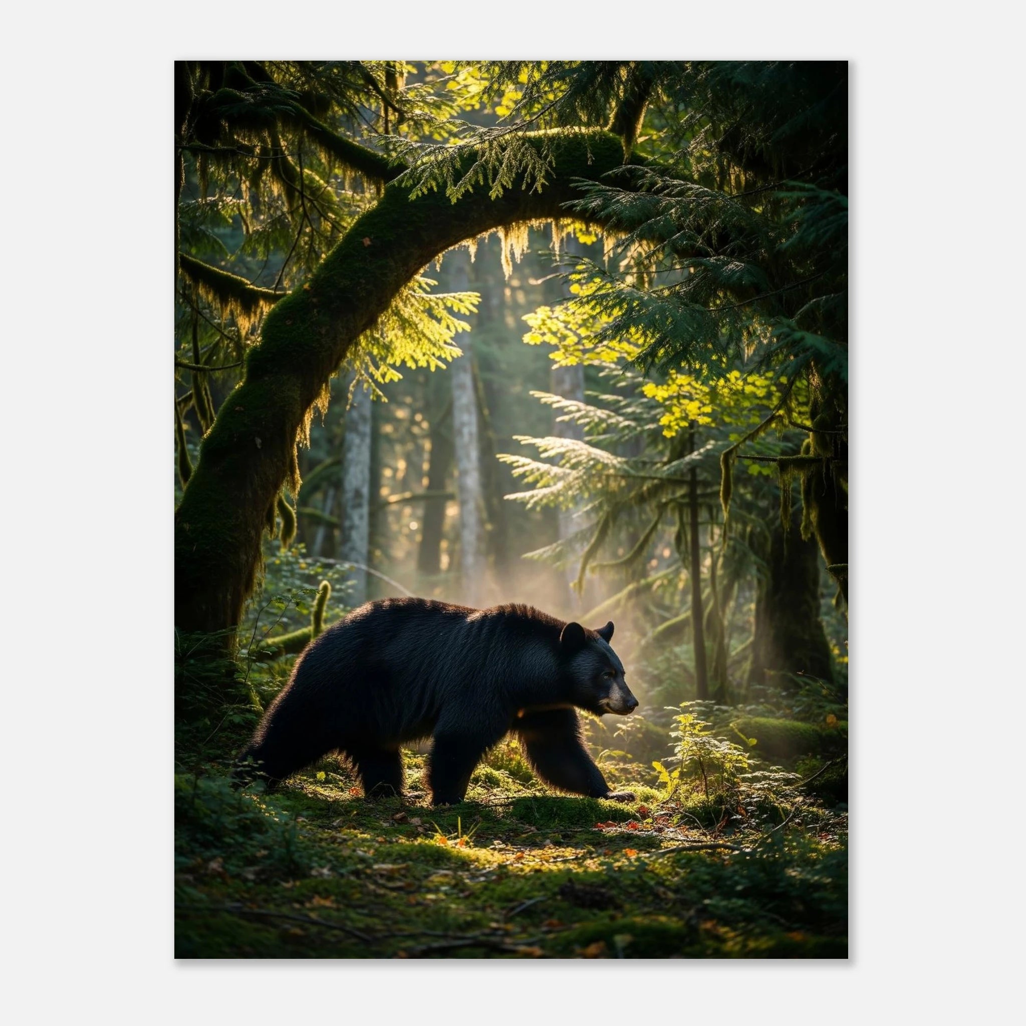 84b59323-4177-477c-a07a-3b38d69521b4